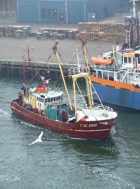 IJmuiden Harbour.JPG